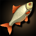 Timberwell Goopy Catcher Timberwell Goopy Catcher