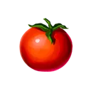 Tomato Tomato