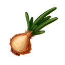Onion Onion