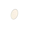 Egg Egg