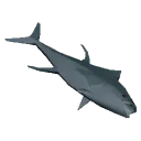 Clearwater Salmon Clearwater Salmon