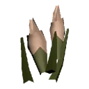 Gravelstem Whiteflower Gravelstem Whiteflower