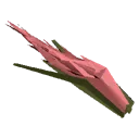 Marshland Feather Reed Marshland Feather Reed