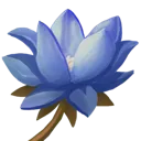 Coldwater Lily Coldwater Lily