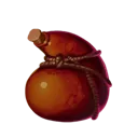 Troll's Blood Troll's Blood