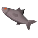 Raw Pebble Sturgeon Raw Pebble Sturgeon