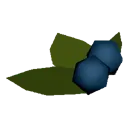 Blueberries Blueberries