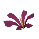 Soothing Mallow Soothing Mallow