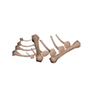 Vulture Bones Vulture Bones