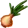 Onion Onion