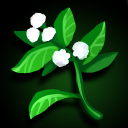 Fenwater Cotton Harvester Fenwater Cotton Harvester